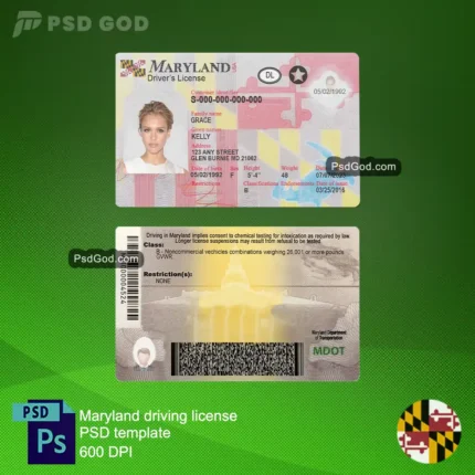 download Maryland fake driving license psd template - Plantilla psd de licencia de conducir falsa de Maryland - download Maryland fake driving license vector file